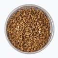 Gefriergetrocknete Lebensmittel LYOFOOD Jaglanka auf Kokosnussgetränk 210 g 3