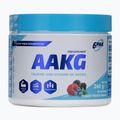 Pre-Workout 6PAK AAKG 240g Waldfrüchte PAK/154#OWLES