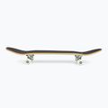 Fish Skateboards Emma Anfänger 8.0  grün klassisches Skateboard 3