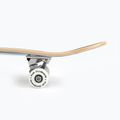 Fish Skateboards Zack Anfänger klassisches Skateboard 8.0' blau SKATE-ZAC-SIL-WHI 12