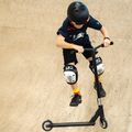 Fish Scooter Shark Freestyle Scooter schwarz 12