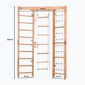 Turnleiter Rinagym SPR Corner natural 2