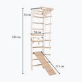 Gymnastikleiter RINAGYM SPR C+SLIDE 6