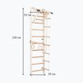 RINAGYM Gymnastikleiter SPR A weiß 4