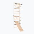 RINAGYM SPR A+SLIDE Gymnastikleiter 2