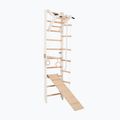 RINAGYM SPR A+SLIDE Gymnastikleiter 3