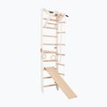 RINAGYM SPR A+SLIDE Gymnastikleiter 4