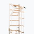 RINAGYM SPR A+SLIDE Gymnastikleiter 5