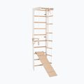 RINAGYM SPR B+SLIDE Gymnastikleiter 3