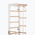 RINAGYM SPR B+SLIDE Gymnastikleiter 4