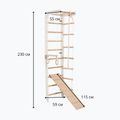 RINAGYM SPR B+SLIDE Gymnastikleiter 5