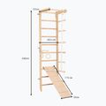 RINAGYM SPR B+SLIDE Gymnastikleiter 6