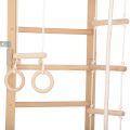 RINAGYM Gymnastikleiter SPR B 5