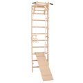 RINAGYM SPR A+SLIDE Gymnastikleiter 2