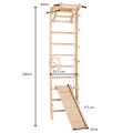 RINAGYM SPR A+SLIDE Gymnastikleiter 6