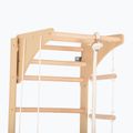 RINAGYM Gymnastikleiter SPR C 4