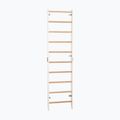 Turnleiter RINAGYM SPR H white 3