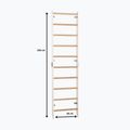 Turnleiter RINAGYM SPR H white 5
