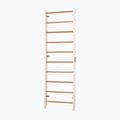 Turnleiter RINAGYM Kombi 1 white 3