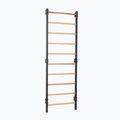 Turnleiter RINAGYM Steel 1 graphit 2