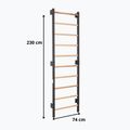 Turnleiter RINAGYM Steel 1 graphit 9