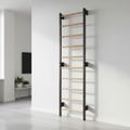 Turnleiter RINAGYM Steel 1 graphit 11