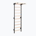 Turnleiter RINAGYM Steel Pure graphit