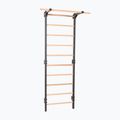Turnleiter RINAGYM Steel Pure graphit 2
