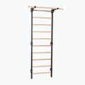 Turnleiter RINAGYM Steel Pure graphit 3