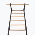 Turnleiter RINAGYM Steel Pure graphit 4