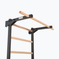 Turnleiter RINAGYM Steel Pure graphit 6
