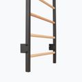 Turnleiter RINAGYM Steel Pure graphit 9