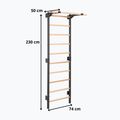 Turnleiter RINAGYM Steel Pure graphit 12