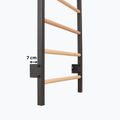 Turnleiter RINAGYM Steel Pure graphit 13