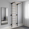 Turnleiter RINAGYM Steel Pure graphit 14