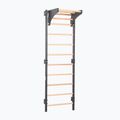 Turnleiter RINAGYM Steel Kom 2 graphit