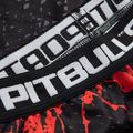 Leggings für Männer Pitbull West Coast Compr Pants Blood Dog black 3