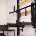 BenchK Gymnastikleiter schwarz BK-733B 7