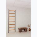 BenchK Gymnastikleiter schwarz BK-210B 11