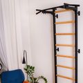 BenchK Gymnastikleiter schwarz BK-721B 10