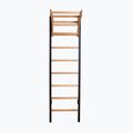 BenchK Gymnastikleiter schwarz BK-211B 2