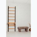 BenchK Gymnastikleiter schwarz BK-211B 12