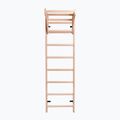 BenchK Bronze-Gymnastikleiter BK-111