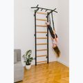 BenchK Gymnastikleiter schwarz BK-721B+A076 19