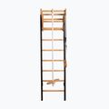BenchK Gymnastikleiter schwarz BK-211B+A076 2