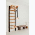 BenchK Gymnastikleiter schwarz BK-211B+A076 15