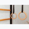 BenchK Gymnastikleiter schwarz BK-211B+A076 7