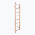 BenchK Bronze Gymnastikleiter BK-110