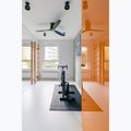 BenchK Bronze Gymnastikleiter BK-110 10