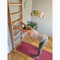 BenchK Bronze Gymnastikleiter BK-110 12